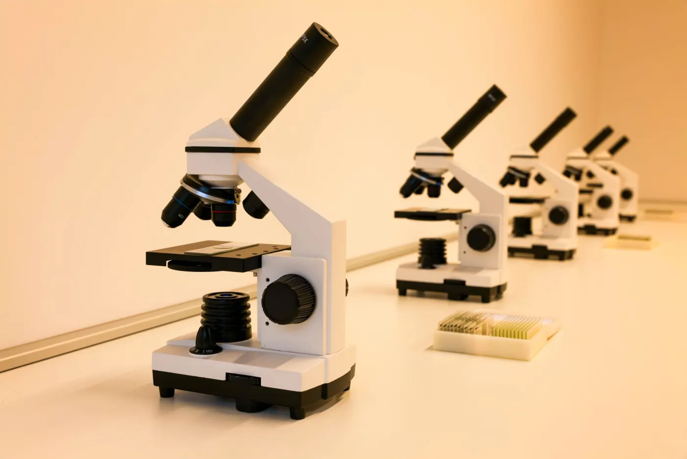 Microscopes set out on a lab bench